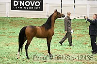 08usn-12435 thumbnail