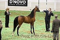 08usn-12436 thumbnail