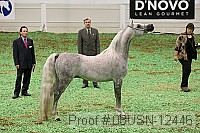 08usn-12446 thumbnail