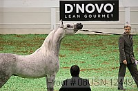 08usn-12449 thumbnail