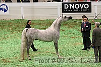 08usn-12452 thumbnail