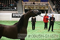 08usn-s11571 thumbnail