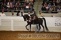 08usn-s06874 thumbnail