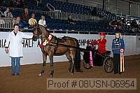 08usn-06954 thumbnail