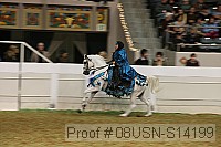 08usn-s14199 thumbnail