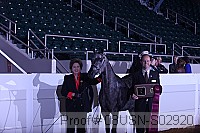 08usn-s02920 thumbnail