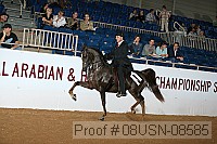 08usn-08585 thumbnail