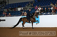 08usn-07263 thumbnail