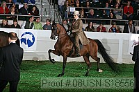08usn-s18556 thumbnail