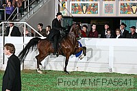 mfpa5641 thumbnail