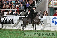 mfpa5646 thumbnail