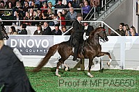 mfpa5650 thumbnail