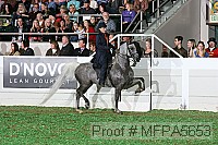 mfpa5653 thumbnail