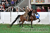 mfpa5656 thumbnail