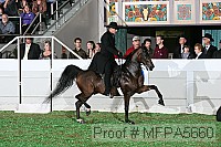 mfpa5660 thumbnail