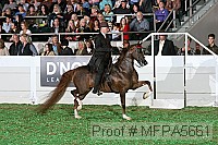 mfpa5661 thumbnail