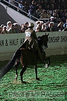 mfpa5669 thumbnail