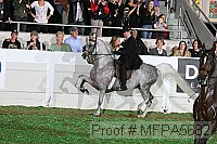 mfpa5682 thumbnail