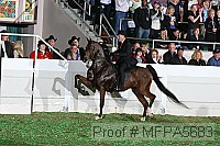 mfpa5683 thumbnail