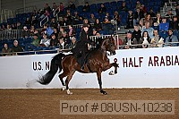 08usn-10238 thumbnail
