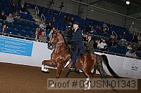 08usn-01343 thumbnail