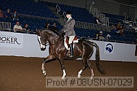 08usn-07029 thumbnail