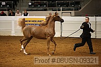 08usn-09321 thumbnail