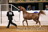 08usn-09323 thumbnail