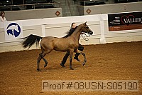 08usn-s05190 thumbnail