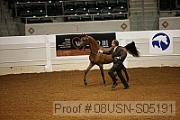 08usn-s05191 thumbnail