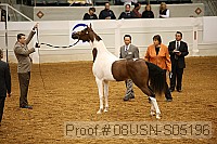 08usn-s05196 thumbnail