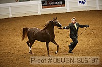 08usn-s05197 thumbnail