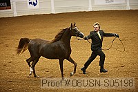 08usn-s05198 thumbnail