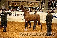 08usn-07693 thumbnail