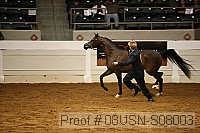 08usn-s08003 thumbnail