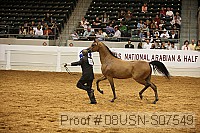 08usn-s07549 thumbnail