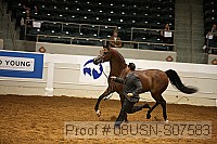08usn-s07583 thumbnail