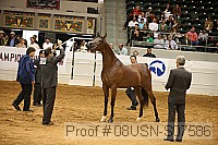 08usn-s07586 thumbnail