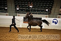 08usn-s07590 thumbnail