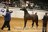 08usn-s07592 thumbnail