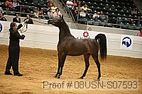 08usn-s07593 thumbnail