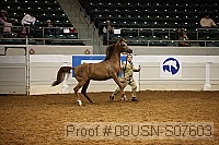 08usn-s07603 thumbnail