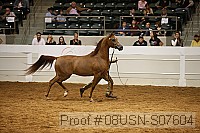 08usn-s07604 thumbnail