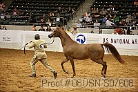 08usn-s07608 thumbnail