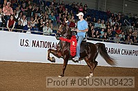 08usn-08423 thumbnail