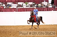 08usn-08424 thumbnail