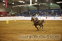 08usn-s18265 thumbnail