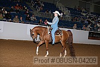 08usn-04209 thumbnail
