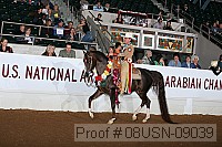 08usn-09039 thumbnail