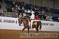 08usn-13206 thumbnail